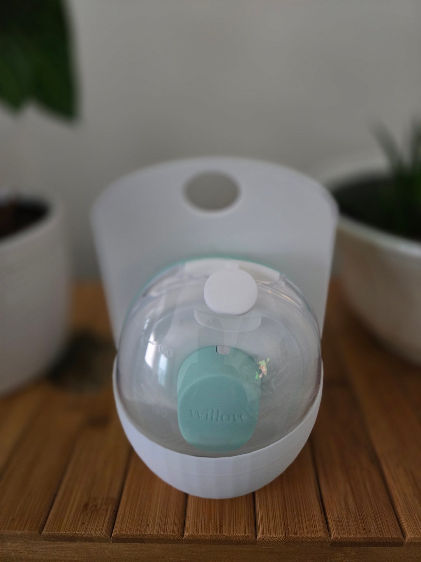 Caddie Carrier for Willow Go