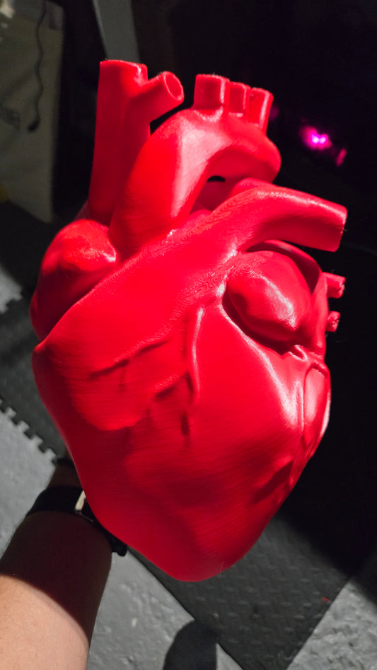 Large Heart for 12ft skeleton